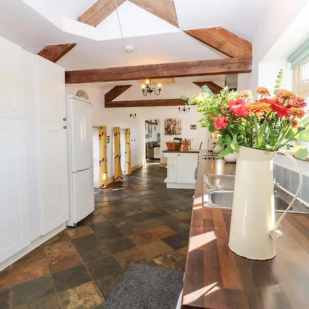 Rainbow * 커크비 스티븐