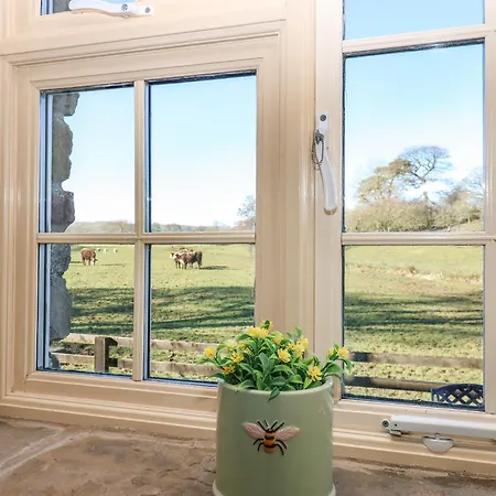 Rainbow * 柯比斯蒂芬